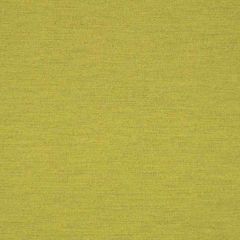 Sunbrella Triumph Leaf 62027-0003 Transcend Collection Upholstery Fabric