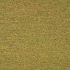 Sunbrella Pashmina Moss 40501-0007 Transcend Collection Upholstery Fabric