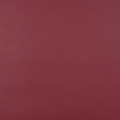 Sunbrella Capriccio Burgundy 10200-0015 Horizon Marine Upholstery Fabric