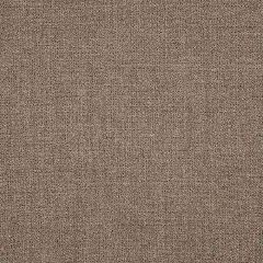 Sunbrella Bliss Bark 48135-0013 Emerge Collection Upholstery Fabric