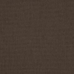 Sunbrella Canvas Java 57014-0000 Emerge Collection Upholstery Fabric