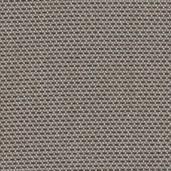 Sunbrella Archi Ipe ARCH R054 140 Odyssey European Collection Upholstery Fabric