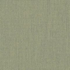 Sunbrella Canvas Almond SJA 3983 137 Bahia European Collection Upholstery Fabric