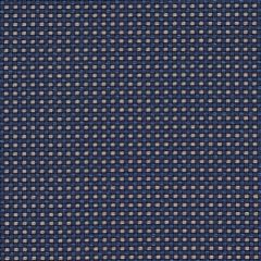 Sunbrella Domino Jackpot DOM R050 140 Bahia European Collection Upholstery Fabric