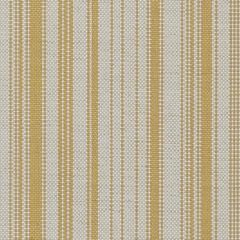 Sunbrella Foutah Pastis FOU 3978 140 Bahia European Collection Upholstery Fabric