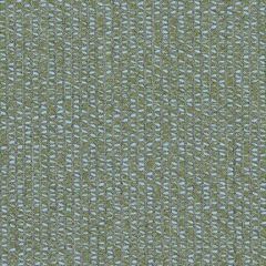 Sunbrella Majestic Paraiba MAJ J340 140 Odyssey European Collection Upholstery Fabric