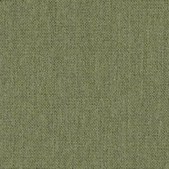 Sunbrella Natte Pistachio NAT 10233 140 Odyssey European Collection Upholstery Fabric