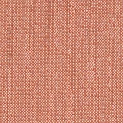 Sunbrella Savane Dawn SAV2 J353 140 Odyssey European Collection Upholstery Fabric