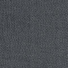 Sunbrella Savane Tornado SAV2 J351 140 Odyssey European Collection Upholstery Fabric