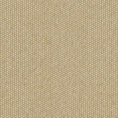 Sunbrella Zori Straw ZOR R060 140 Bahia European Collection Upholstery Fabric