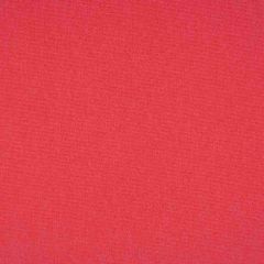 Sunbrella Canvas Blush 57000-0000 Upholstery Fabric