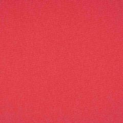 Sunbrella Canvas Blush 57000-0000 Elements Collection Upholstery Fabric