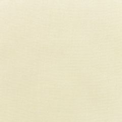 Sunbrella Canvas Canvas 5453-0000 Elements Collection Upholstery Fabric