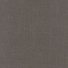 Sunbrella Canvas Coal 5489-0000 Elements Collection Upholstery Fabric