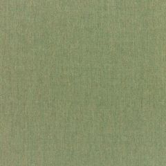 Sunbrella Canvas Fern 5487-0000 Elements Collection Upholstery Fabric