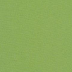 Sunbrella Canvas Ginkgo 54011-0000 Elements Collection Upholstery Fabric