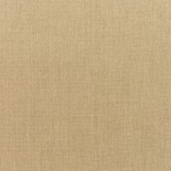 Sunbrella Canvas Heather Beige 5476-0000 Elements Collection Upholstery Fabric