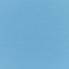 Sunbrella Canvas Sky Blue 5424-0000 Elements Collection Upholstery Fabric