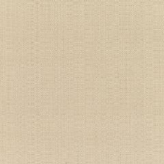 Sunbrella Linen Champagne 8300-0000 Elements Collection Upholstery Fabric