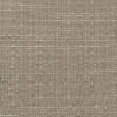 Sunbrella Linen Taupe 8374-0000 Elements Collection Upholstery Fabric
