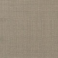 Sunbrella Linen Taupe 8374-0000 Elements Collection Upholstery Fabric