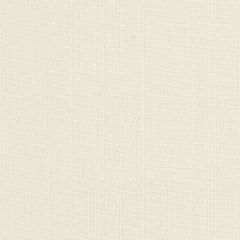 Sunbrella Spectrum Eggshell 48018-0000 Elements Collection Upholstery Fabric