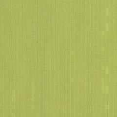 Sunbrella Spectrum Kiwi 48023-0000 Elements Collection Upholstery Fabric