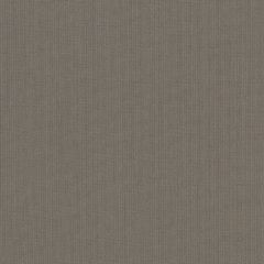 Sunbrella Spectrum Graphite 48030-0000 Elements Collection Upholstery Fabric