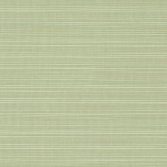 Sunbrella Dupione Aloe 8068-0000 Elements Collection Upholstery Fabric