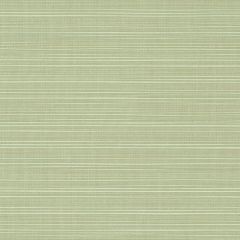 Sunbrella Dupione Aloe 8068-0000 Elements Collection Upholstery Fabric