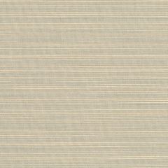 Sunbrella Dupione Dove 8069-0000 Elements Collection Upholstery Fabric