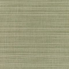 Sunbrella Dupione Laurel 8015-0000 Elements Collection Upholstery Fabric