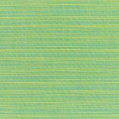 Sunbrella Dupione Paradise 8050-0000 Elements Collection Upholstery Fabric