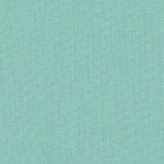 Sunbrella Spectrum Mist 48020-0000 Elements Collection Upholstery Fabric