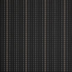 Sunbrella Esti Onyx 44349-0024 Fusion Collection Upholstery Fabric