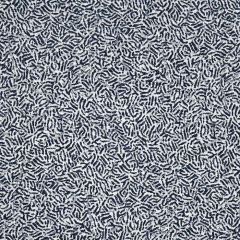 Sunbrella by Alaxi Swarm Starlight Atmospherics Collection Upholstery Fabric