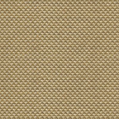 Kravet Sunbrella Polo Texture Driftwood 31938 106 Oceania Indoor Outdoor Collection Upholstery Fabric