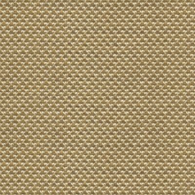 Light Brown Fabric - Worldwide Textile