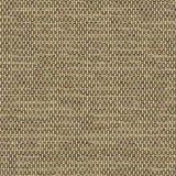 Sunbrella Mainstreet Latte 42048-0009 Elements Collection Upholstery Fabric