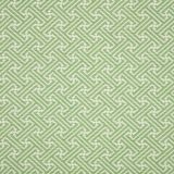Sunbrella Meander Shamrock 44216-0005 Fusion Collection Upholstery Fabric