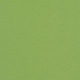 Sunbrella RAIN Canvas Ginkgo 54011-0000 77 Waterproof Upholstery Fabric