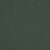 Sunbrella Cast Ivy 48141-0000 Emerge Collection Upholstery Fabric