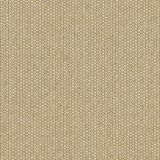 Sunbrella Zori Straw ZOR R060 140 Bahia European Collection Upholstery Fabric