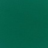 Sunbrella Canvas Forest Green 5446-0000 Elements Collection Upholstery Fabric