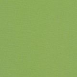 Sunbrella Canvas Ginkgo 54011-0000 Elements Collection Upholstery Fabric