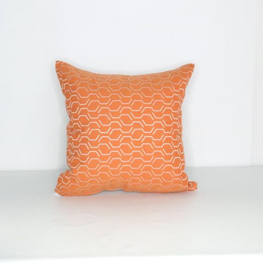 Apricot sales throw pillows